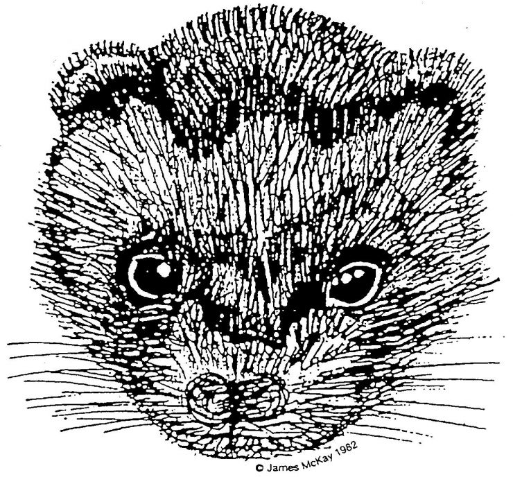 Izzy Mask LOGO.jpg